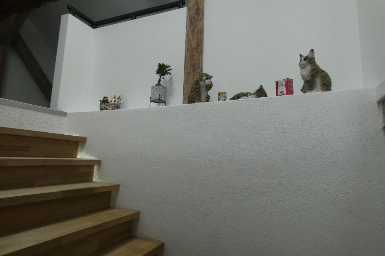 Holiday Schwandorf in Bayern Kültér fotó